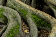 Location Imagery for Marketing _ Sandhurst 148