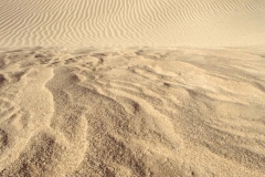 Windswept Dunes _8
