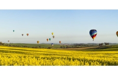 Balloons 2017_Panorama11 1m LRWM