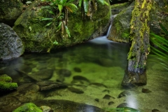 Daintree Rockpool _4691