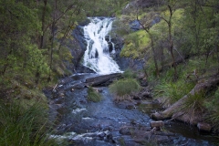 Bedalup Falls - Pemberton_7947
