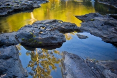 Cascade Reflections _ 1677