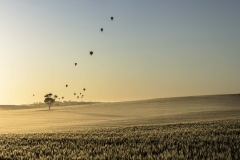 Hot Air Balloons_Panorama3