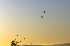 Hot Air Balloons _Panorama5
