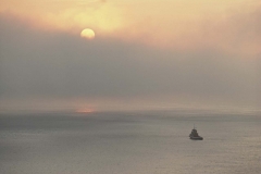 Waiting for the fog to lift_ Albany