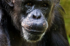 Singapore Zoo & Jurong 60