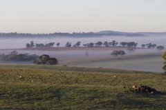 Fog in the Valley_Panorama 2