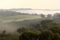 Fog in the Valley_Panorama 3