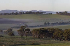 Fog in the Valley_Panorama1