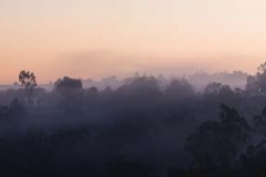Toodyay Fog_Panorama1