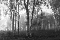 Untitled_Panorama-2A-BW-LRWM