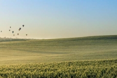 Hot Air Balloons_Panorama1
