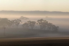 Fog in the Valley_Panorama 4