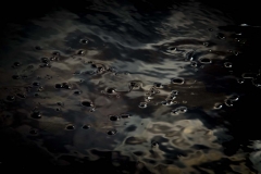 _IGP2205