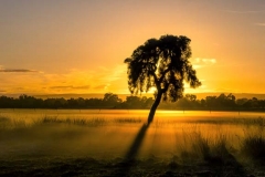 Whiteman Sunrise_Panorama 3